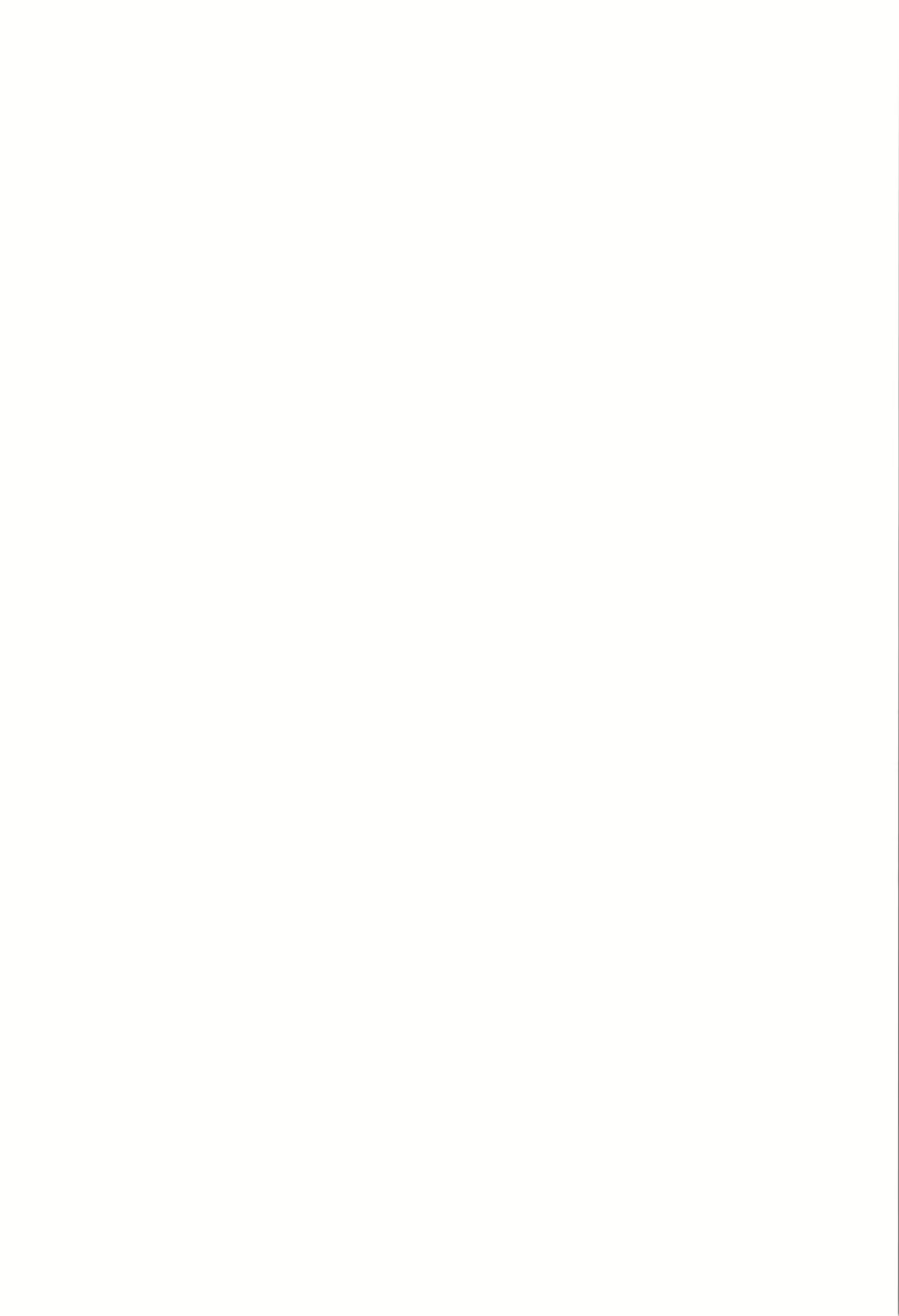 Content 2667204 - 2 페이지