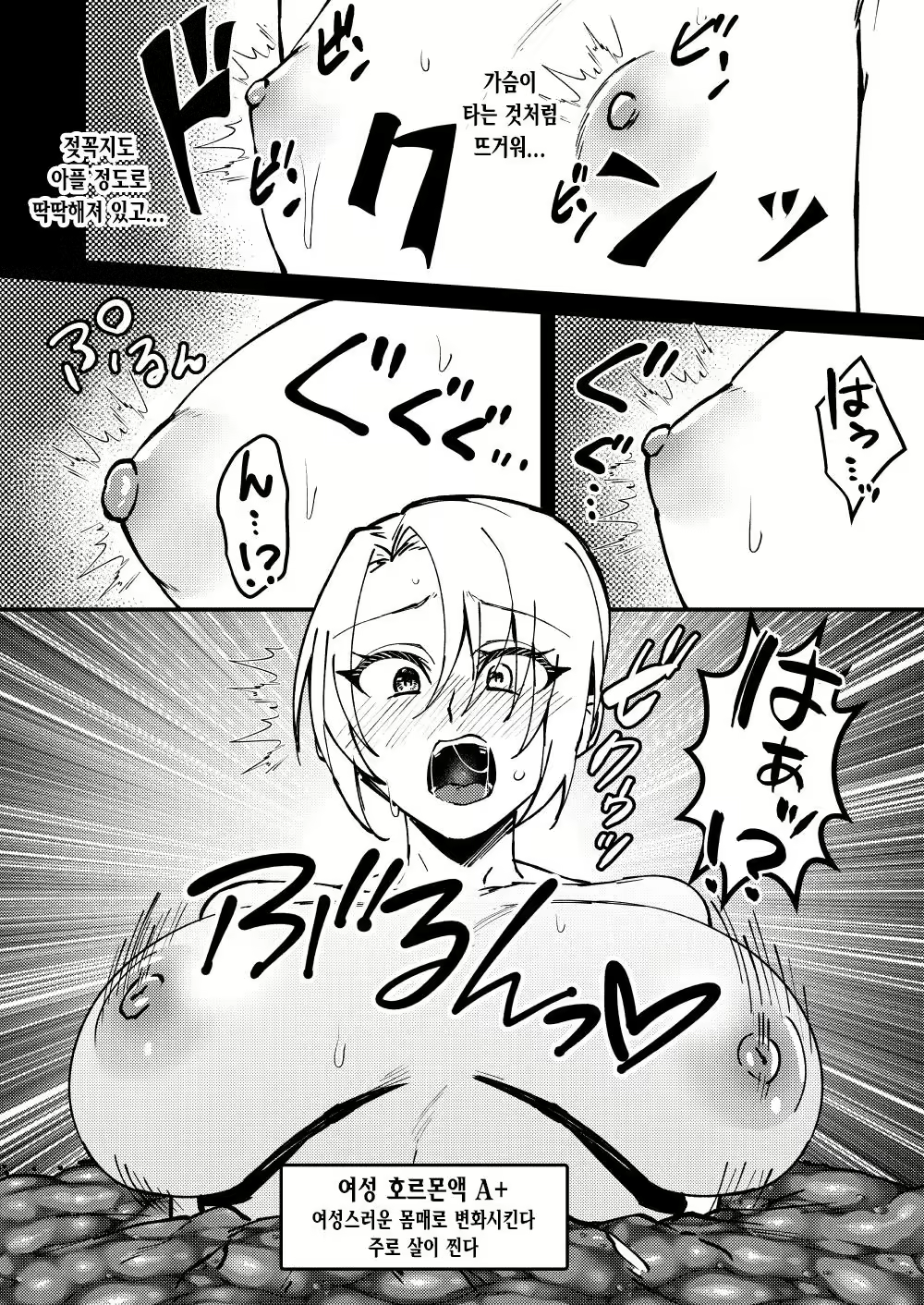 Content 2687478 - 23 페이지
