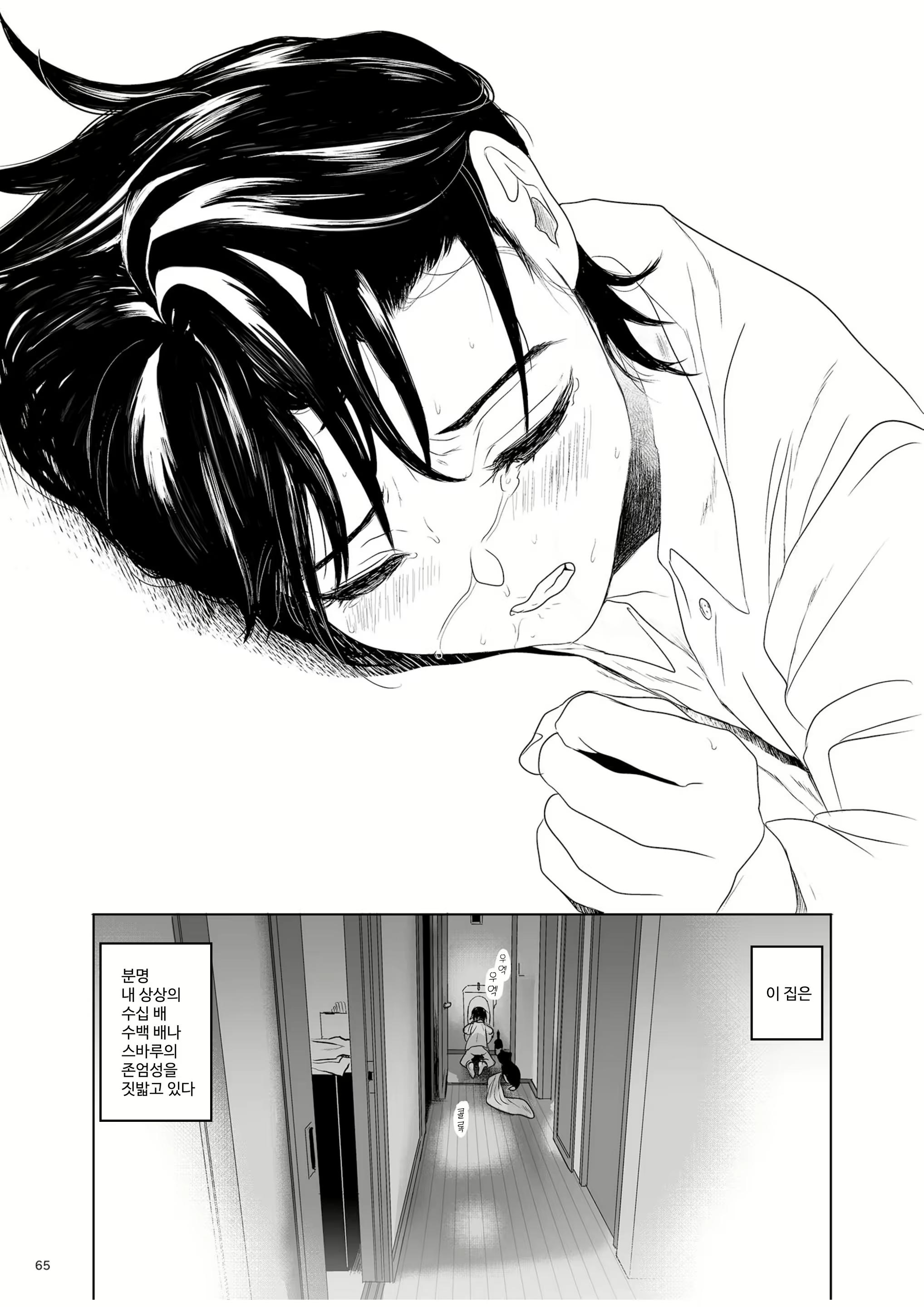 Content 2687554 - 64 페이지