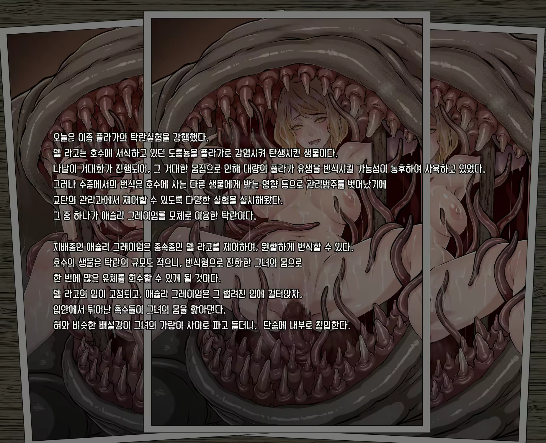 Content 2694223 - 2 페이지