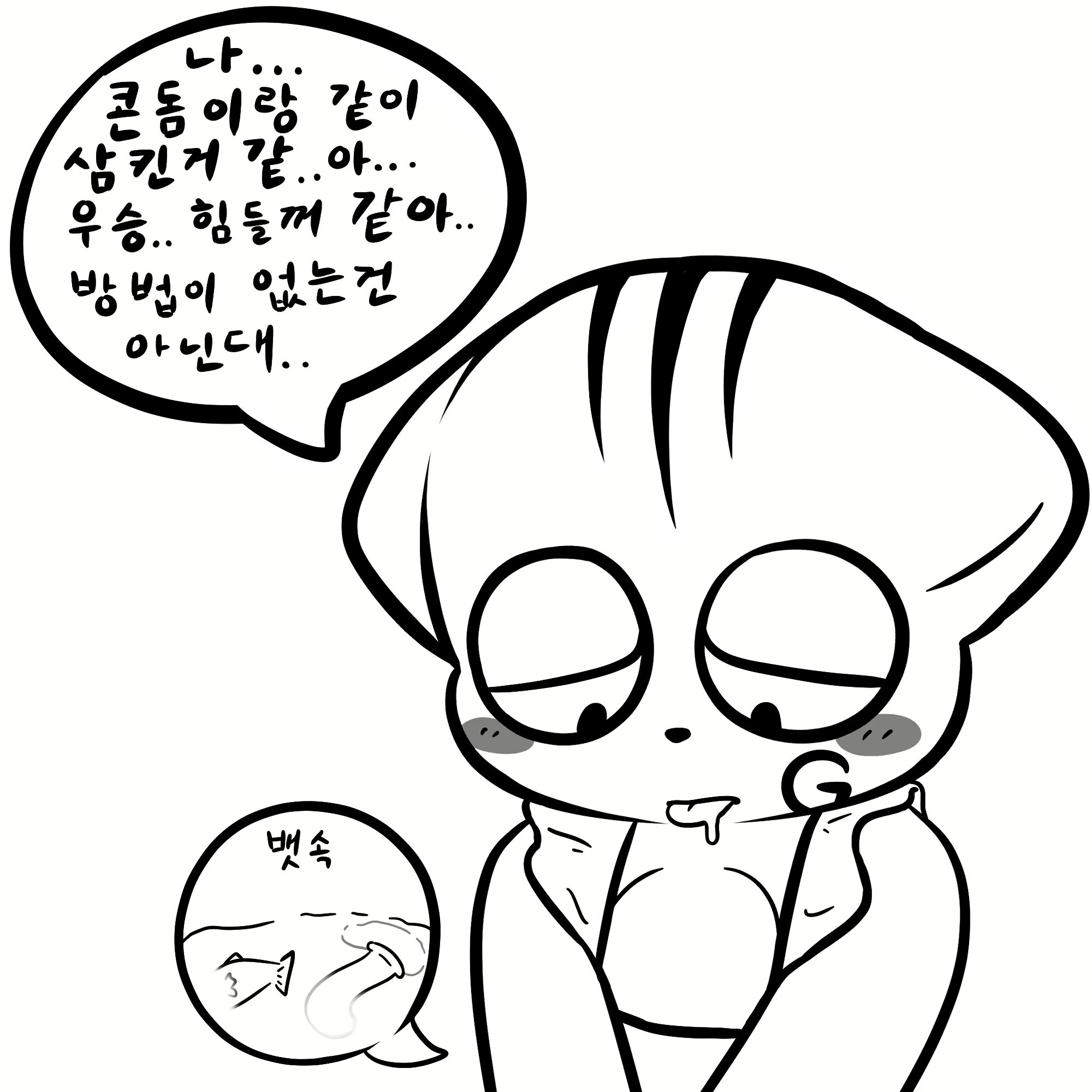 Content 2695150 - 51 페이지