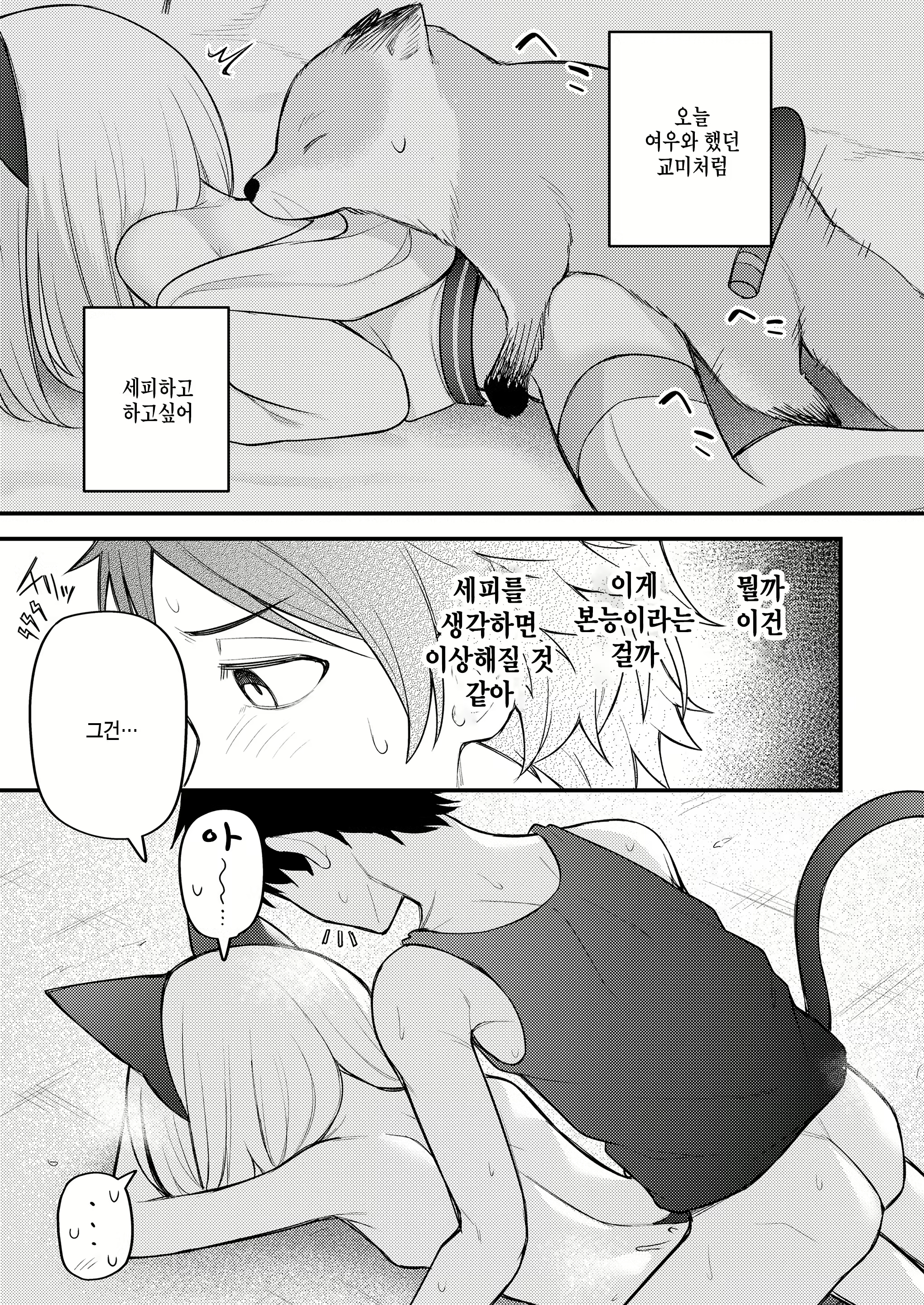 Content 2701408 - 15 페이지