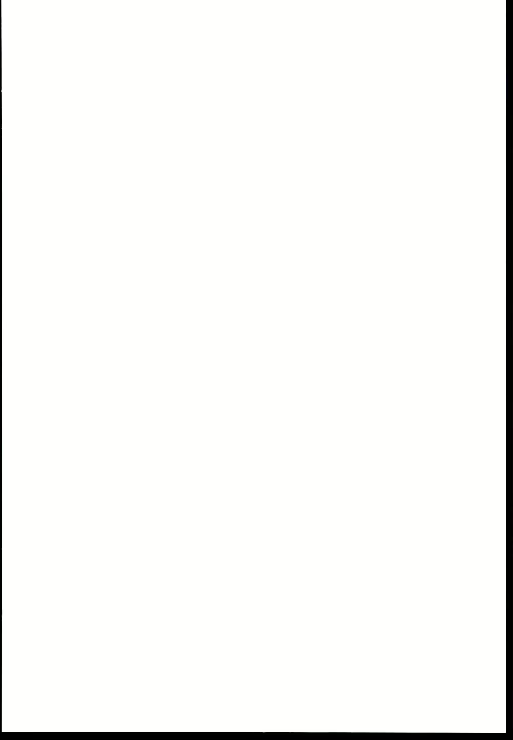 Content 2703960 - 2 페이지