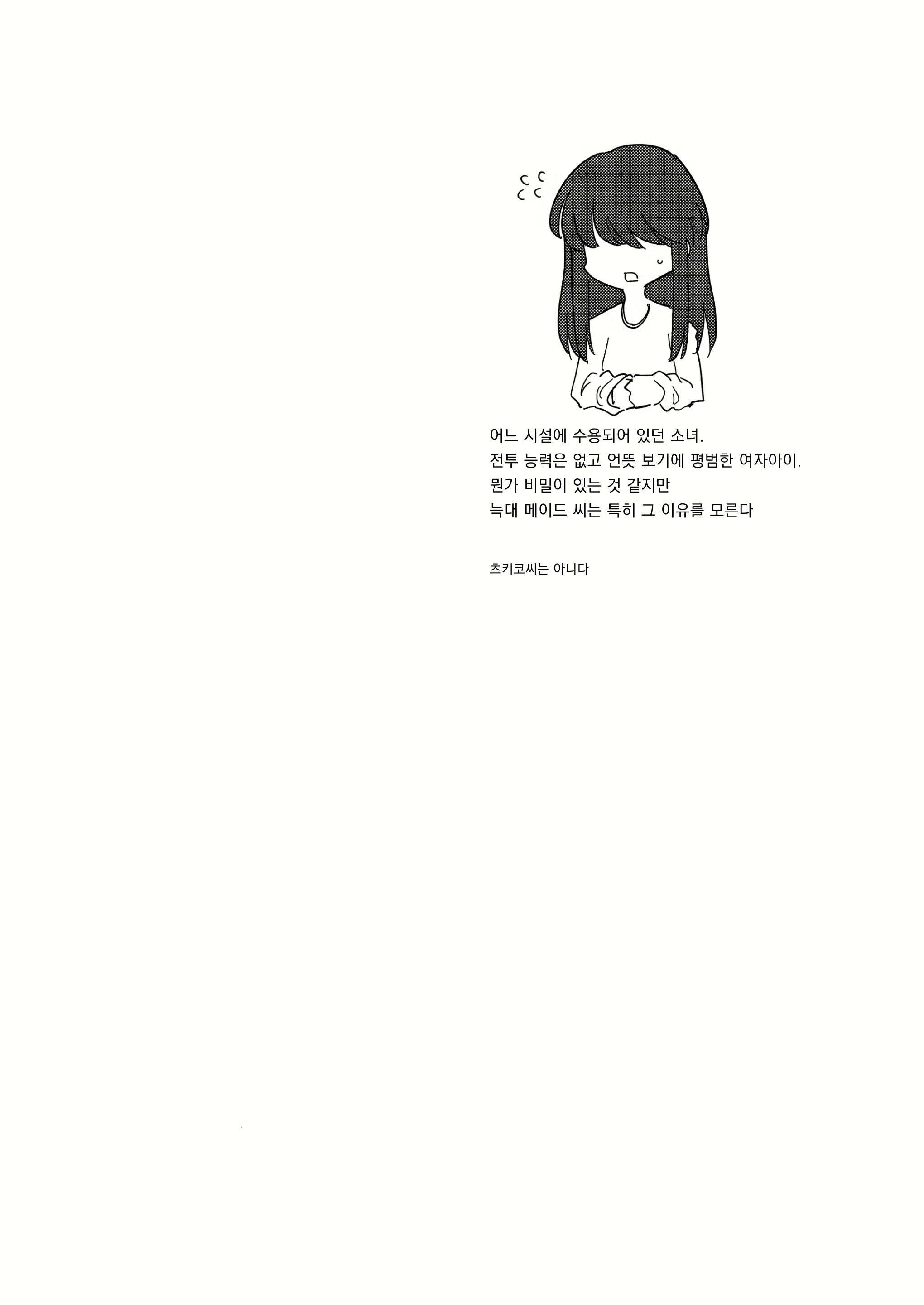 Content 2707034 - 3 페이지