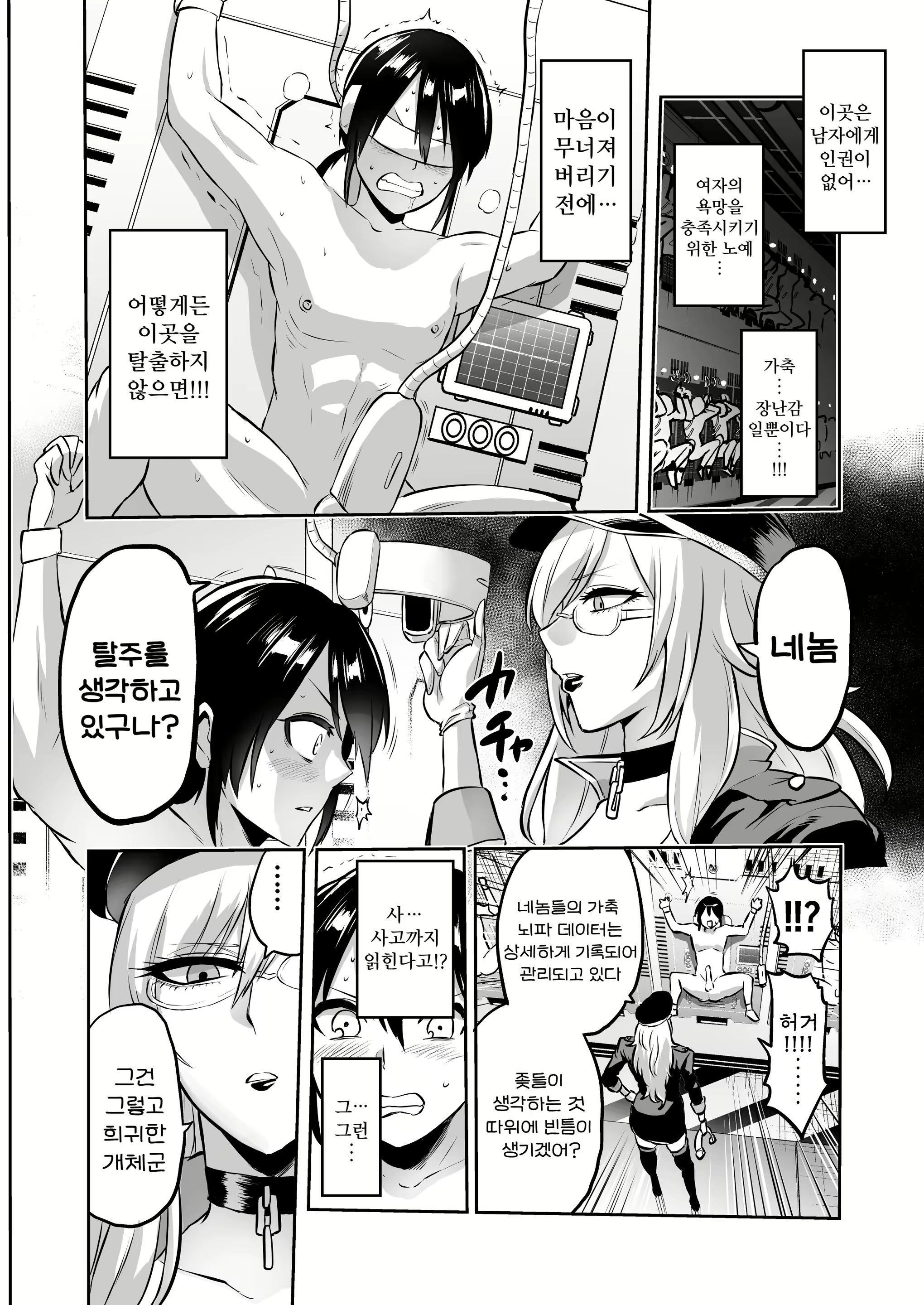 Content 2710731 - 36 페이지