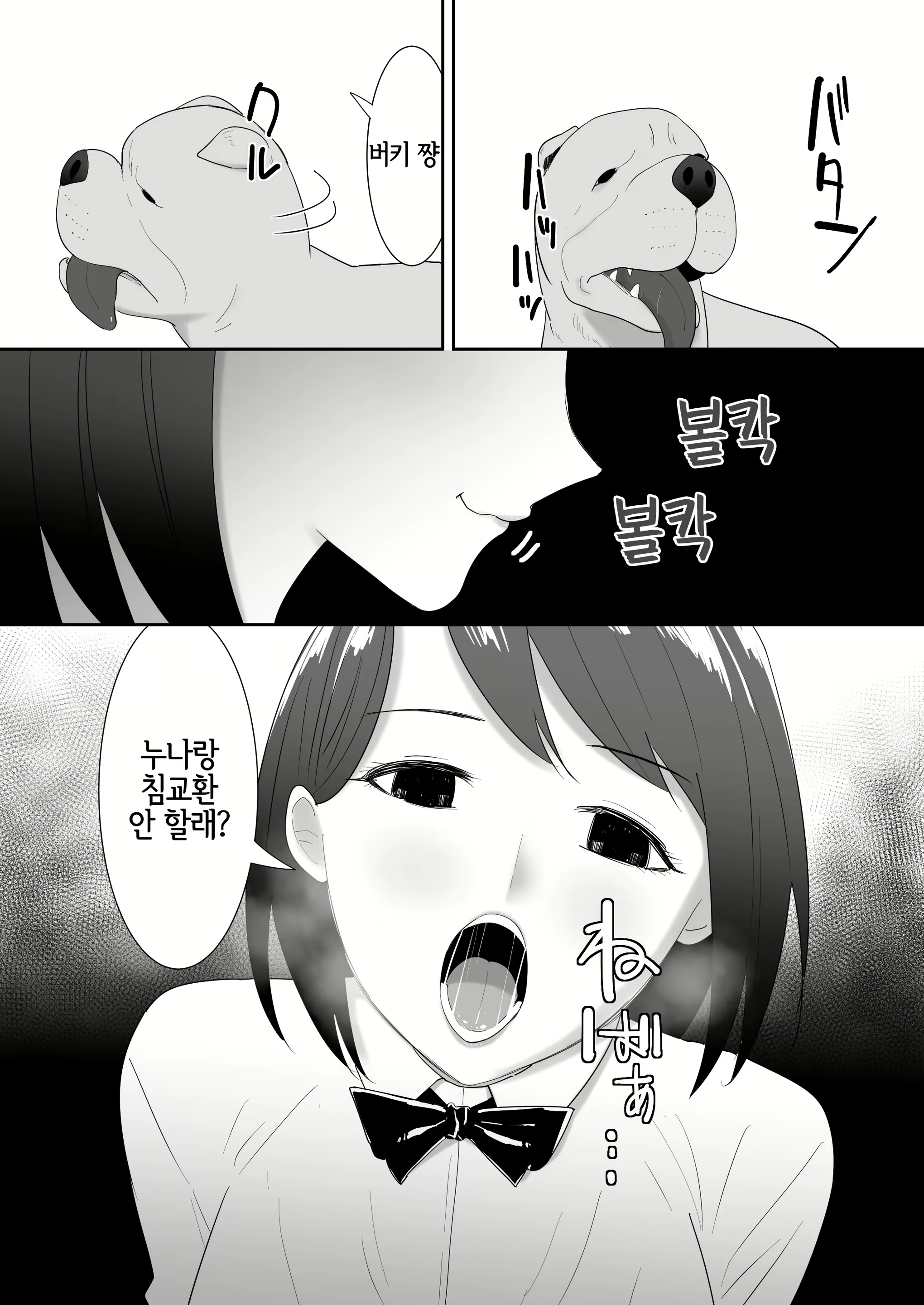 Content 2711923 - 11 페이지