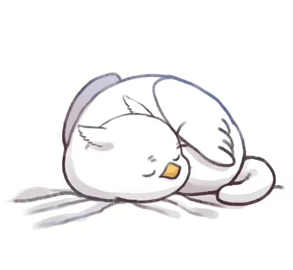 Content 2741005 - 206 페이지