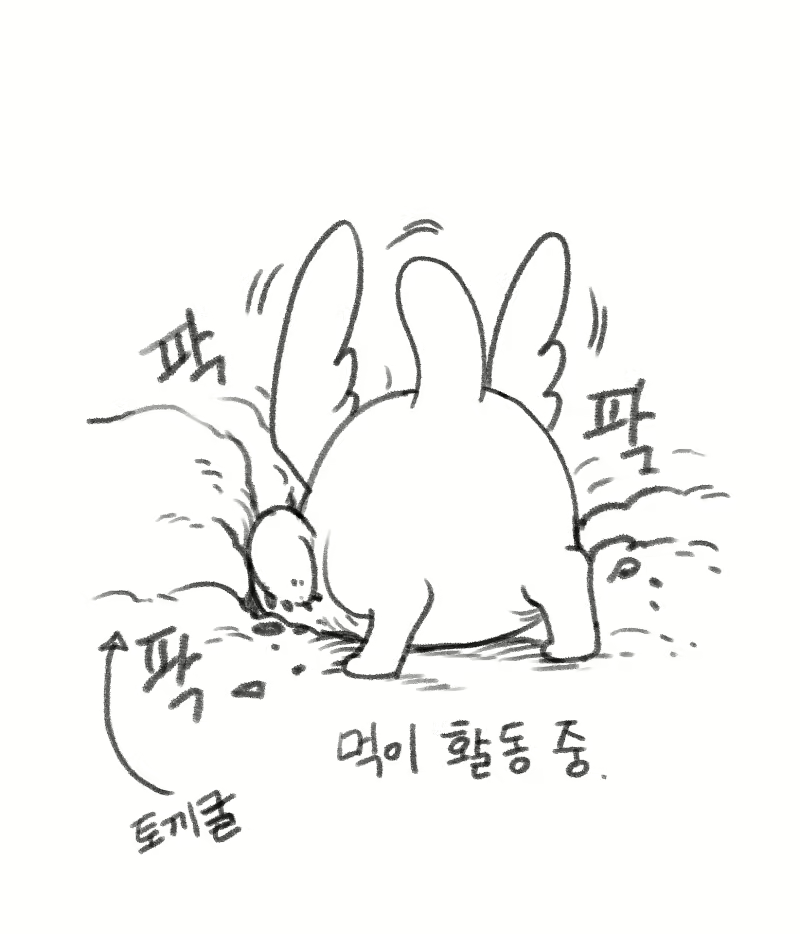 Content 2741005 - 218 페이지