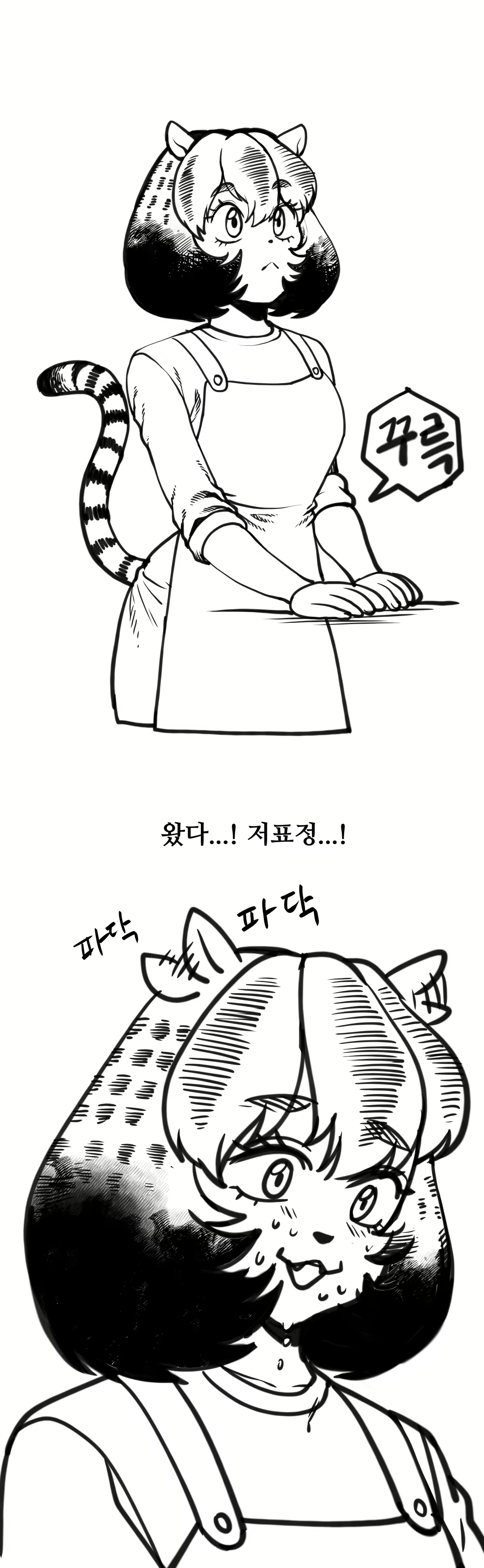 Content 2741005 - 269 페이지
