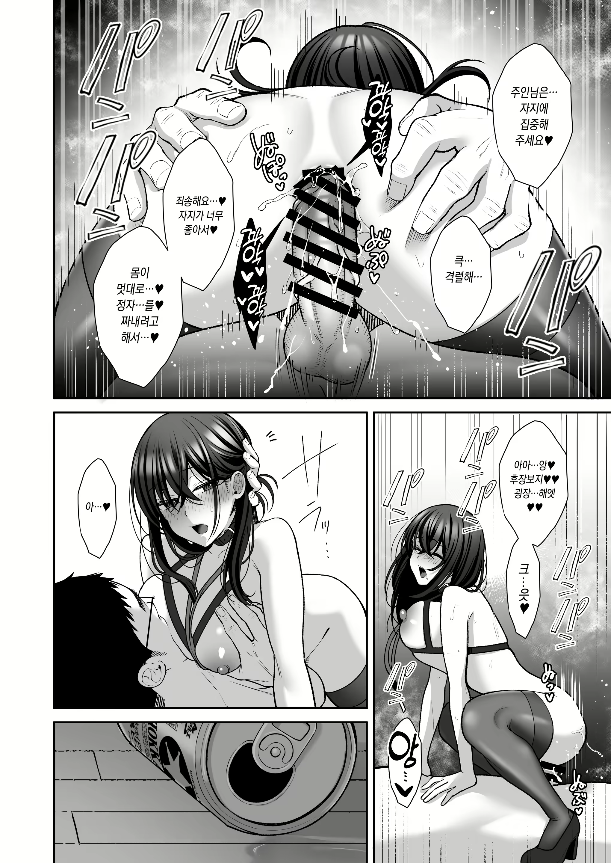 Content 2746955 - 85 페이지