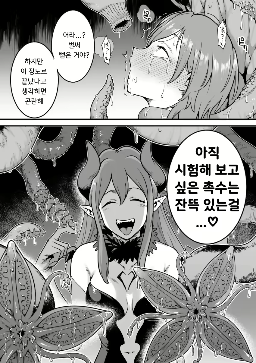 Content 2753686 - 20 페이지