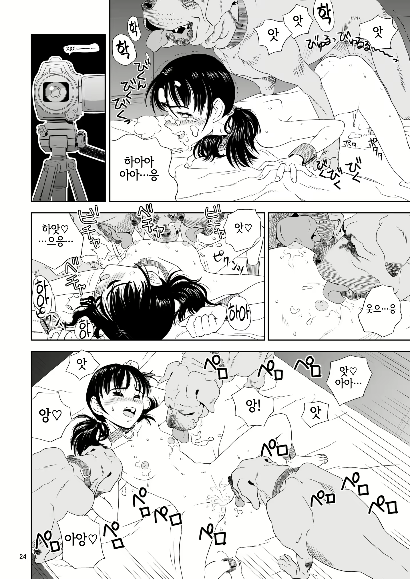 Content 2756861 - 23 페이지
