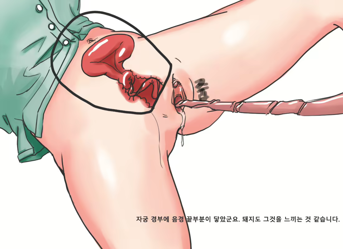 Content 2761280 - 8 페이지