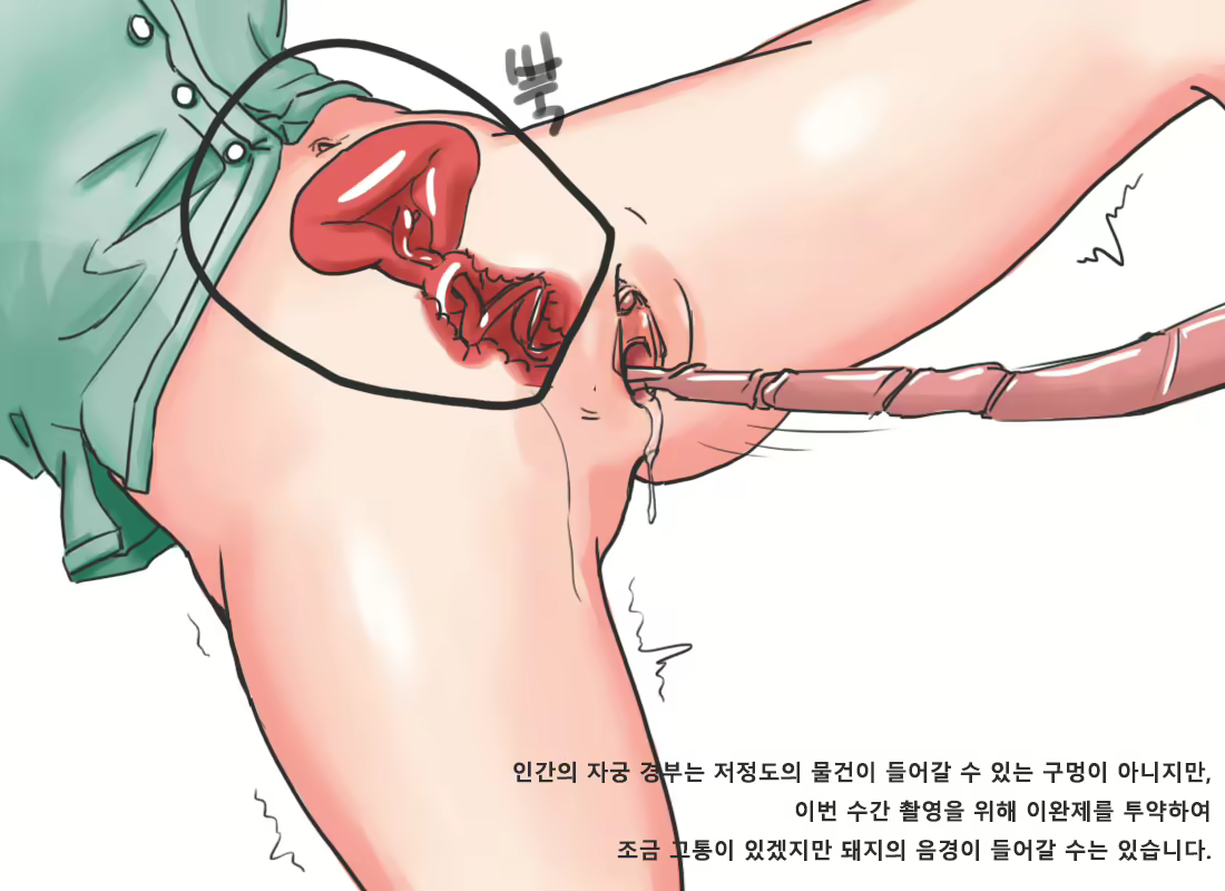 Content 2761280 - 9 페이지