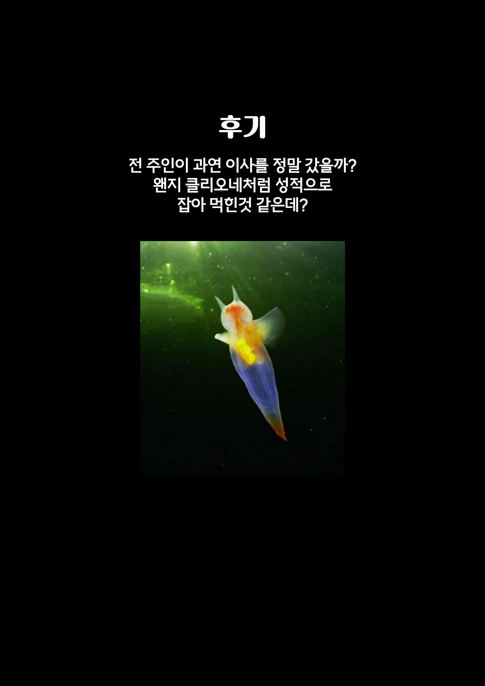 Content 2764956 - 27 페이지
