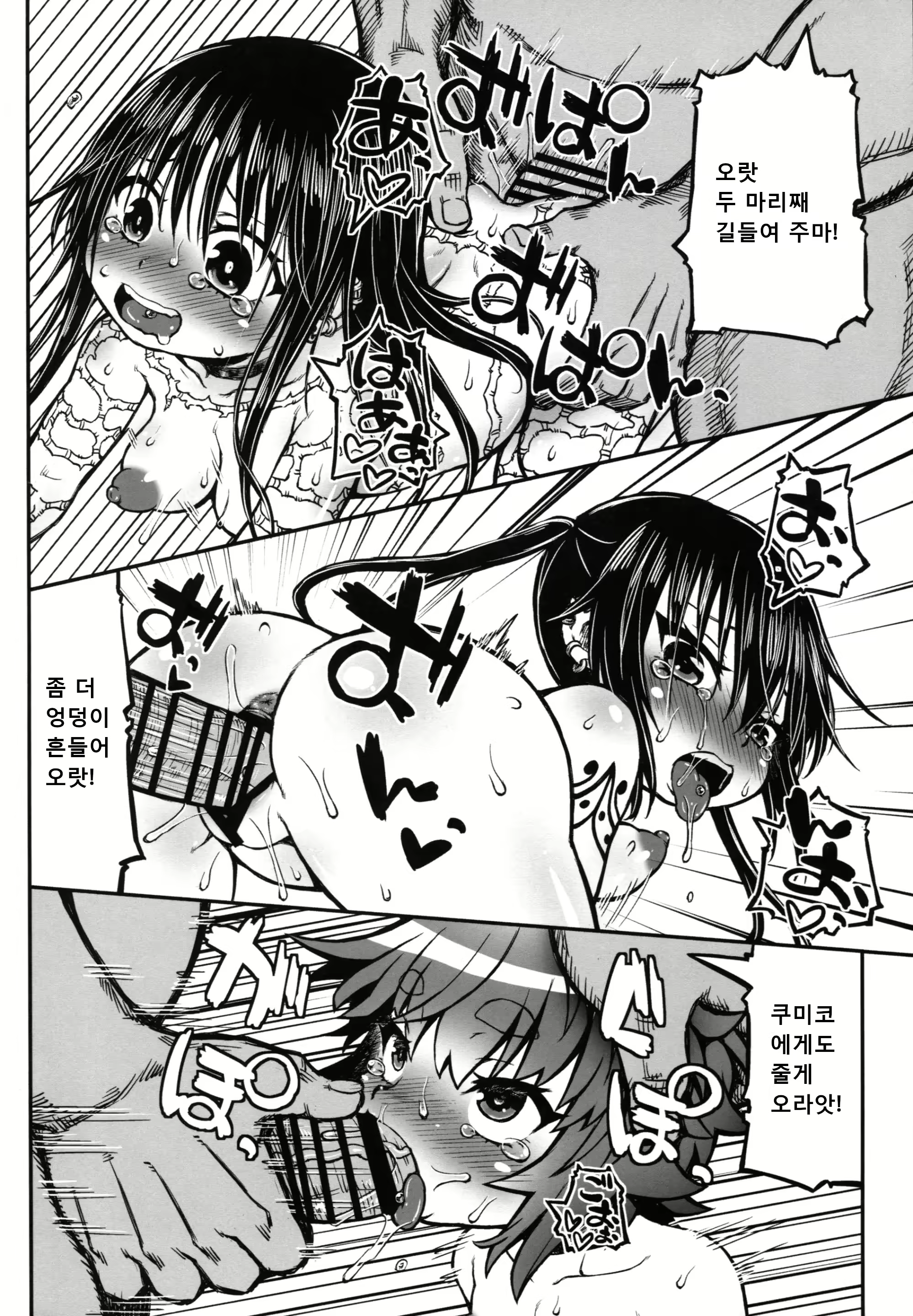 Content 2776519 - 11 페이지