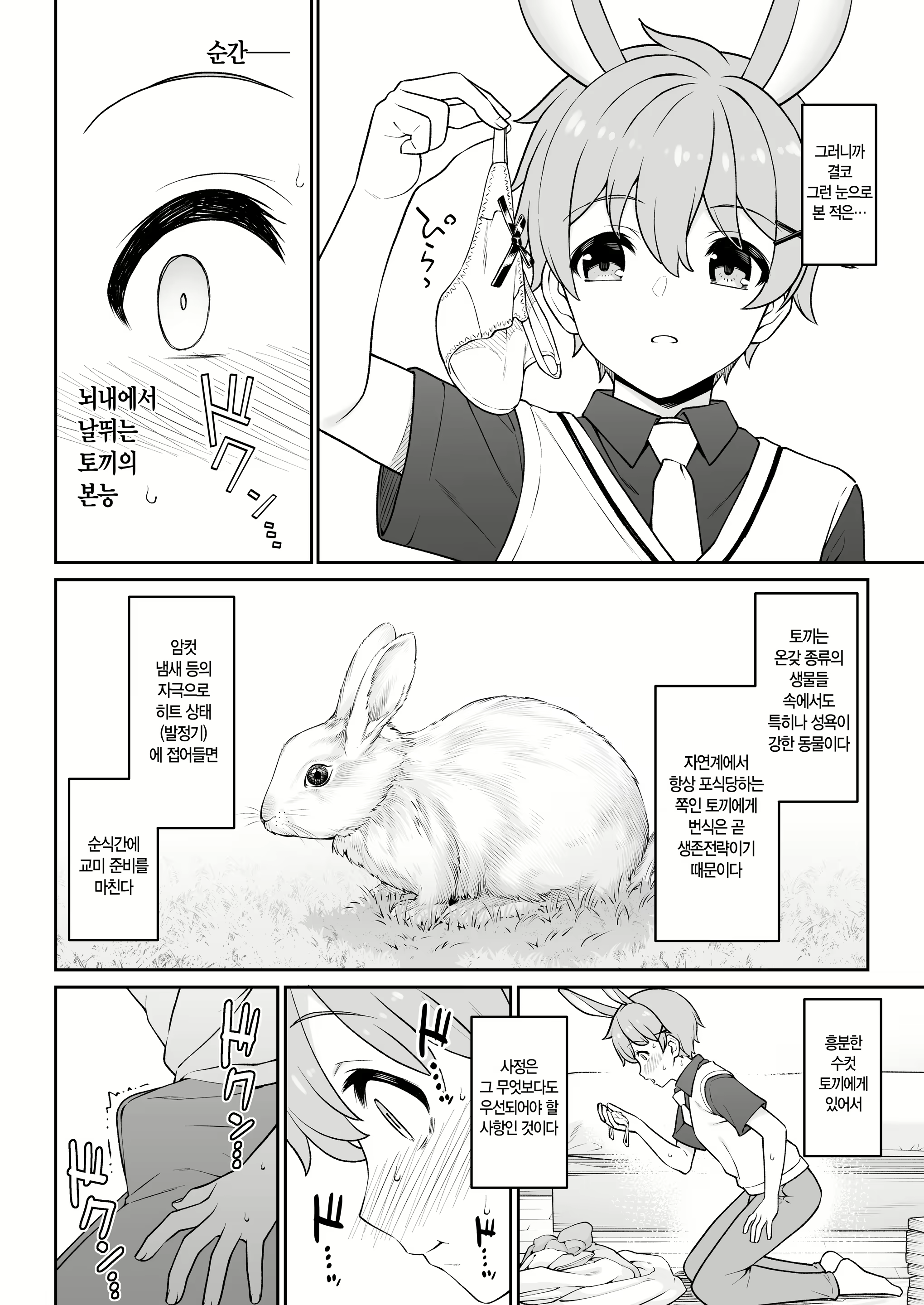 Content 2783367 - 15 페이지