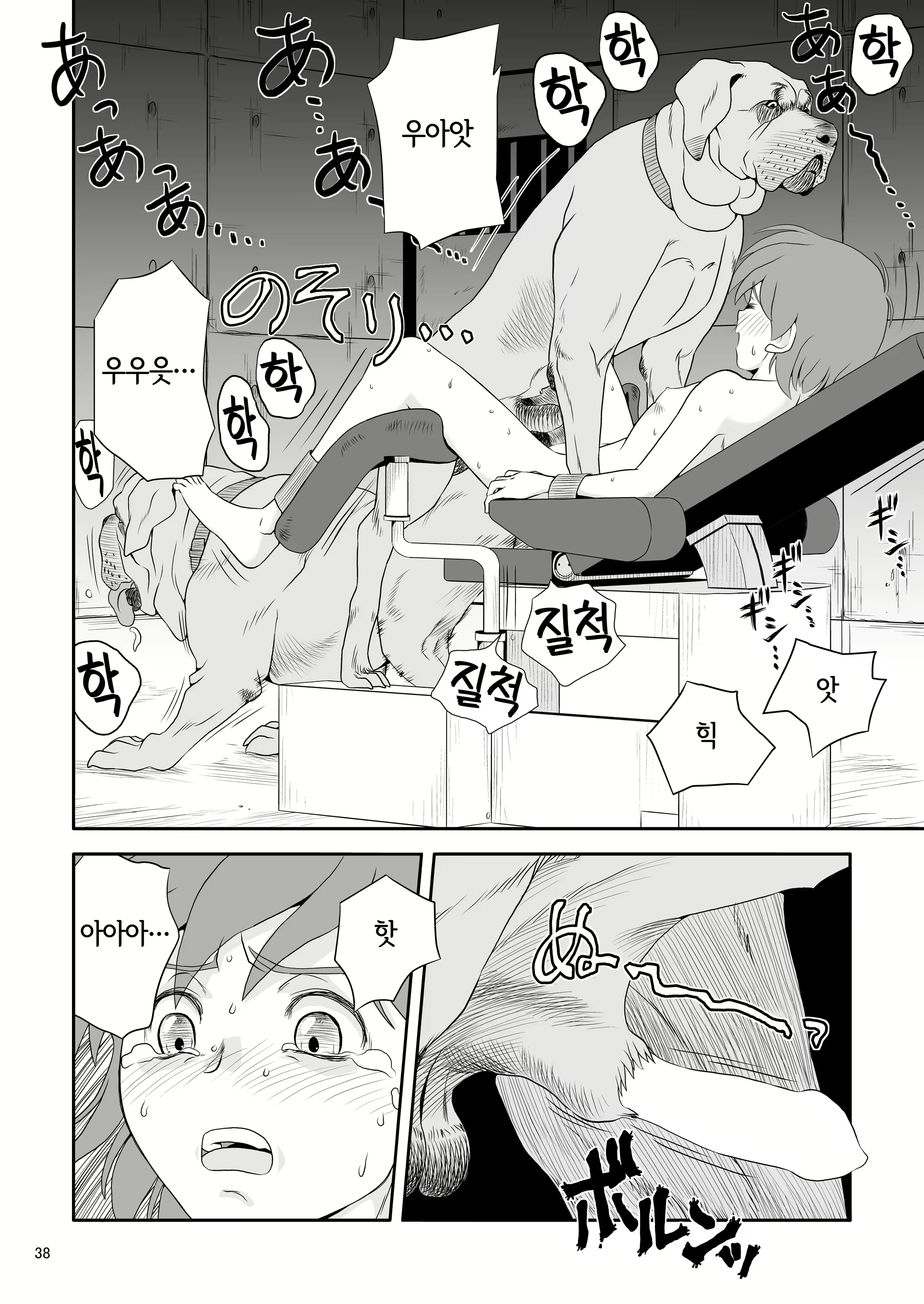 Content 2789322 - 38 페이지