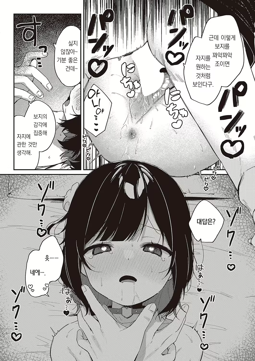 Content 2793583 - 11 페이지