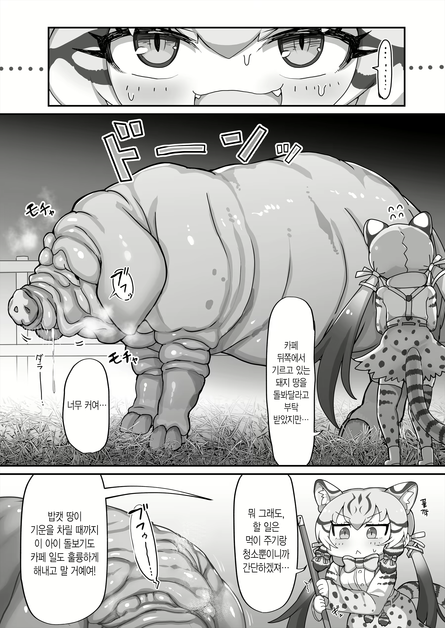 Content 2799007 - 5 페이지