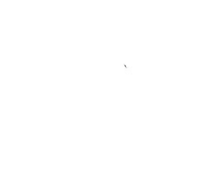 Content 2804682 - 137 페이지