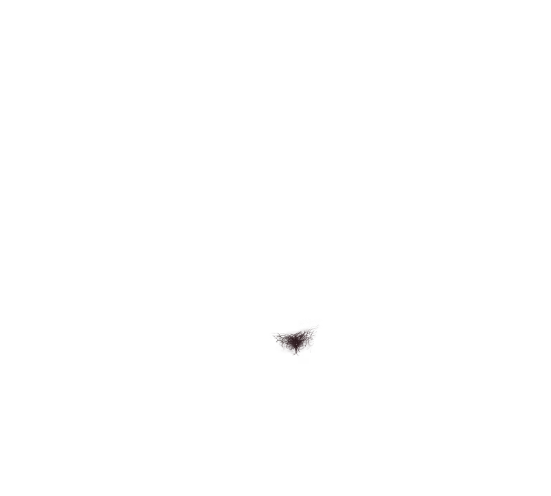 Content 2804682 - 138 페이지