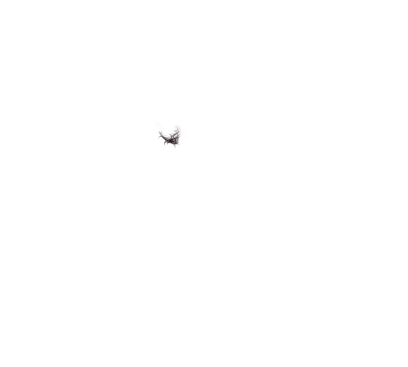 Content 2804682 - 157 페이지
