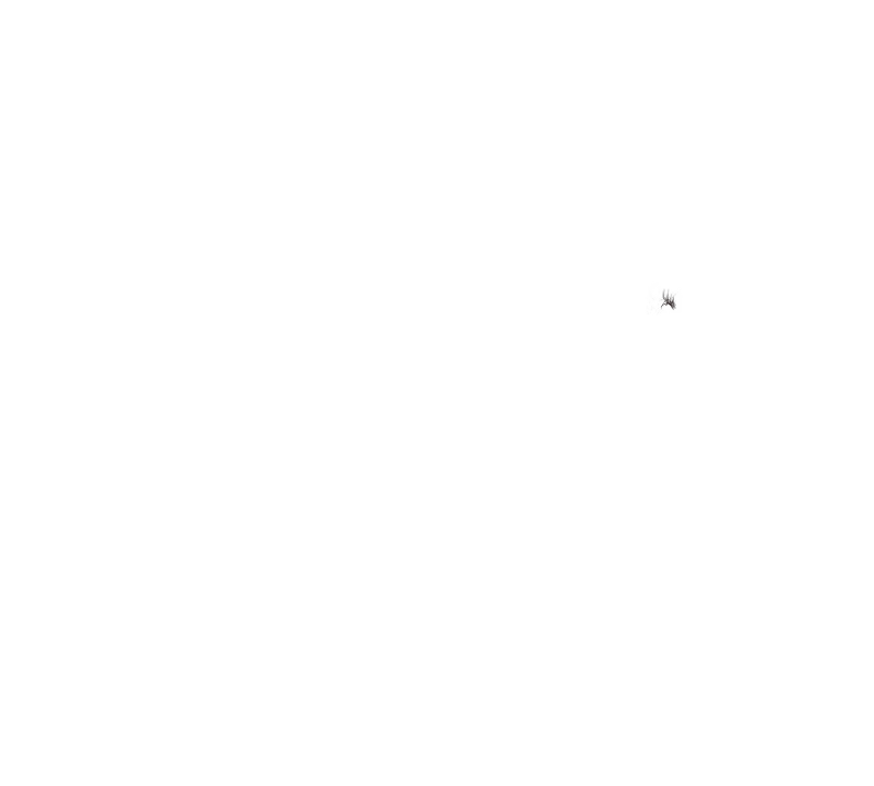 Content 2804682 - 182 페이지
