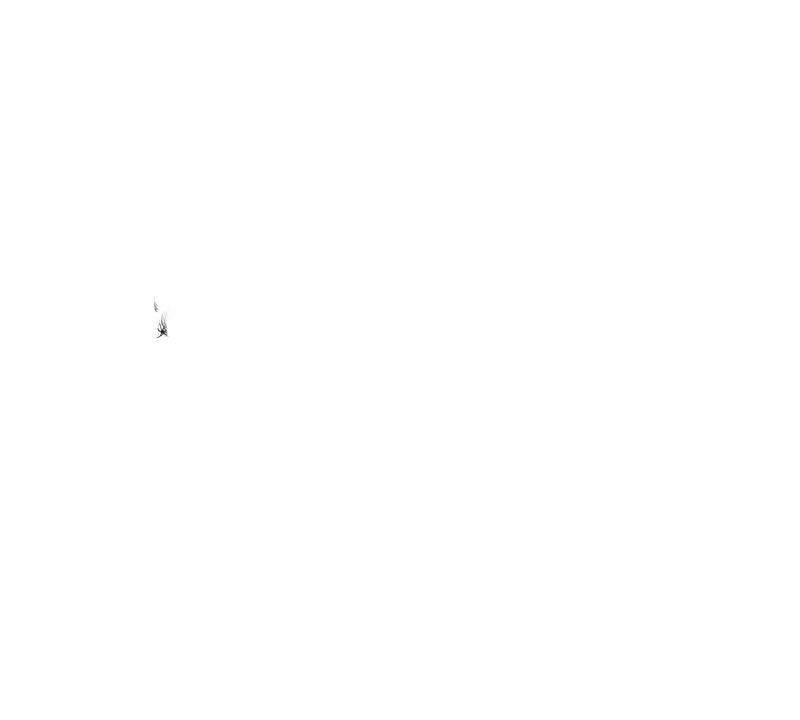 Content 2804682 - 183 페이지