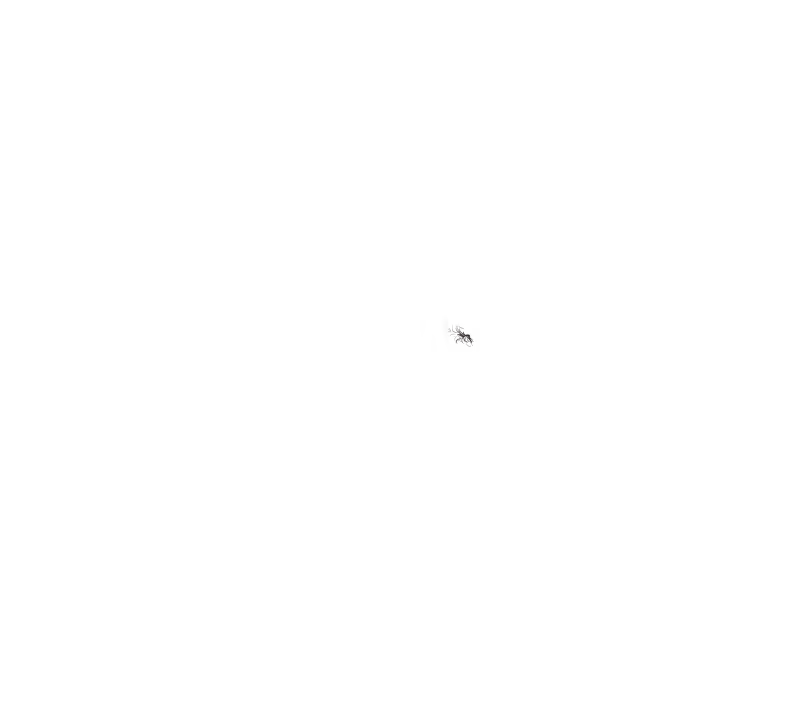 Content 2804682 - 197 페이지