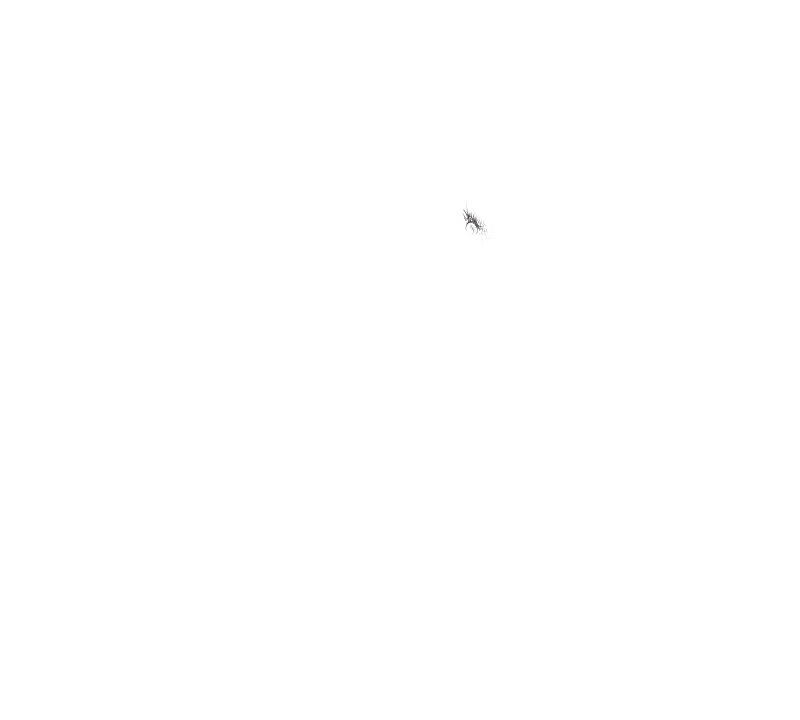 Content 2804682 - 209 페이지