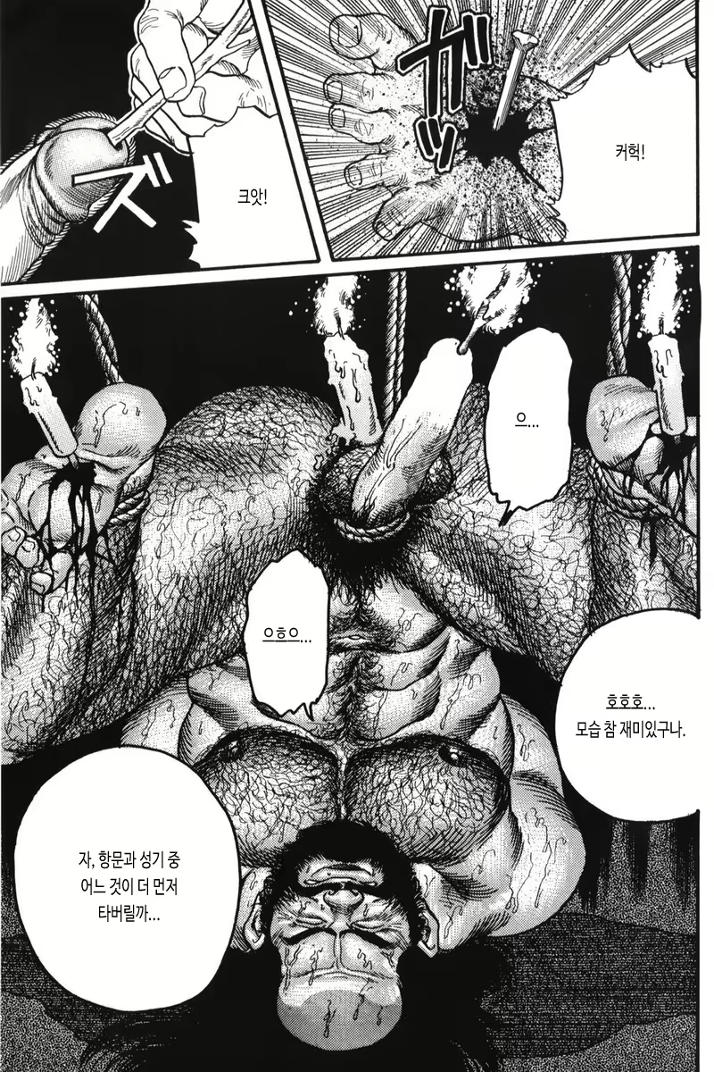 Content 2830529 - 15 페이지