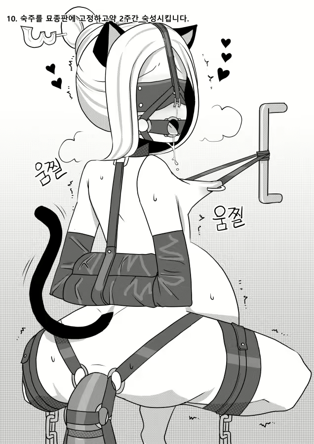 Content 2832702 - 10 페이지