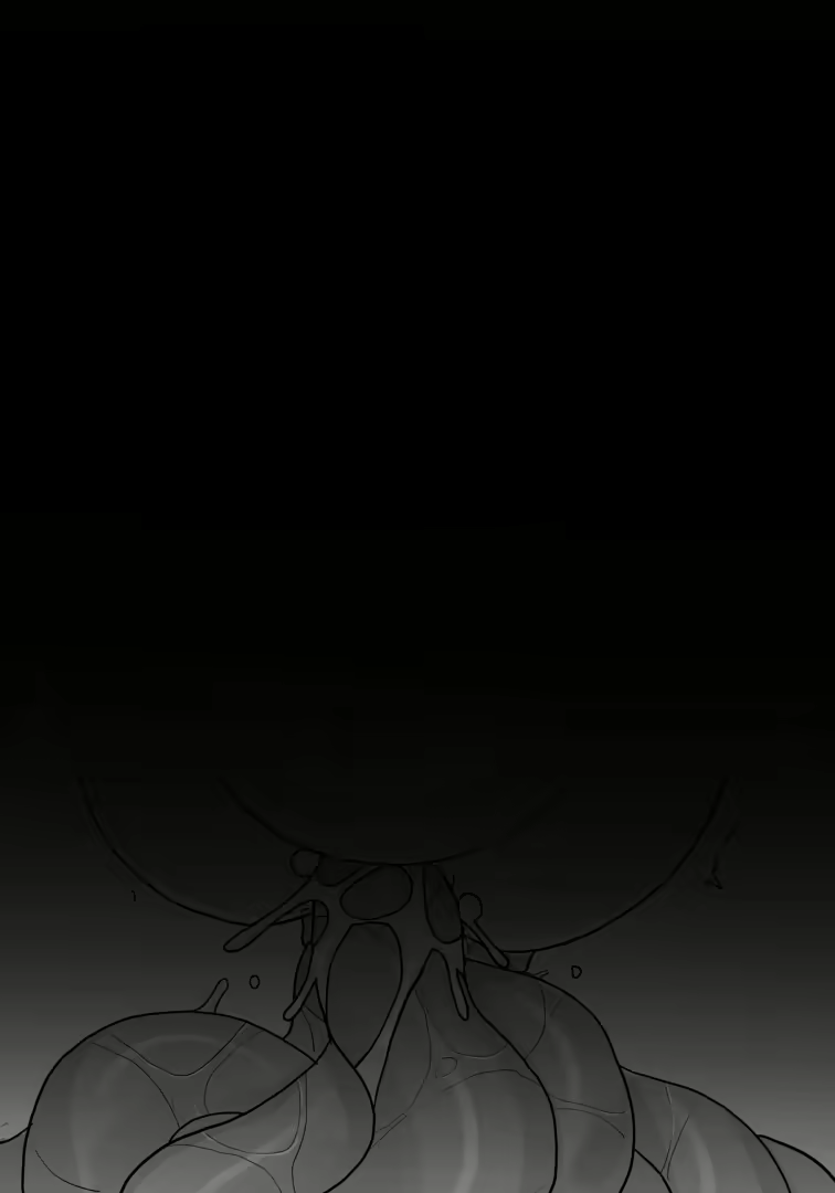 Content 2832758 - 30 페이지