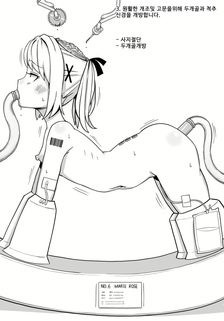 Content 2832761 - 12 페이지