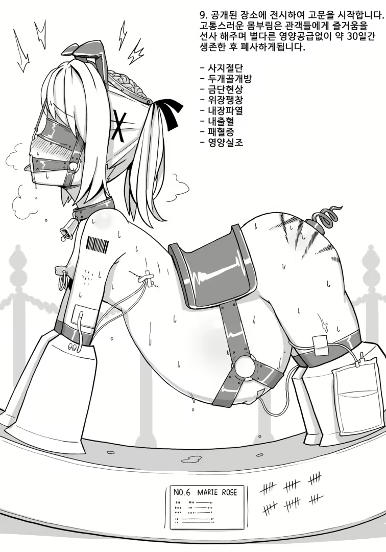 Content 2832761 - 18 페이지