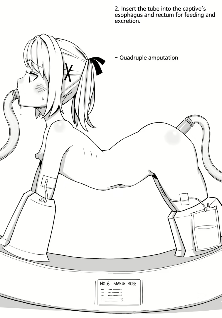 Content 2832761 - 2 페이지