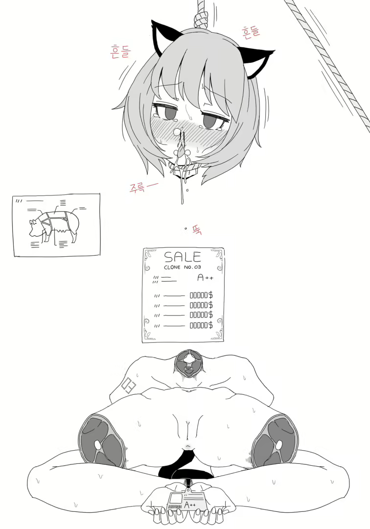 Content 2832765 - 13 페이지