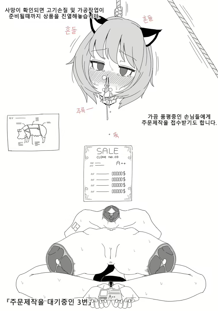 Content 2832765 - 14 페이지