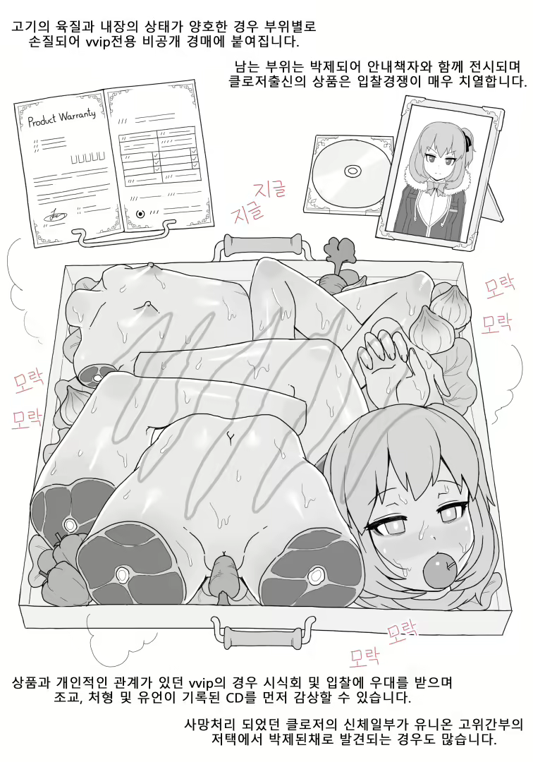 Content 2832769 - 15 페이지
