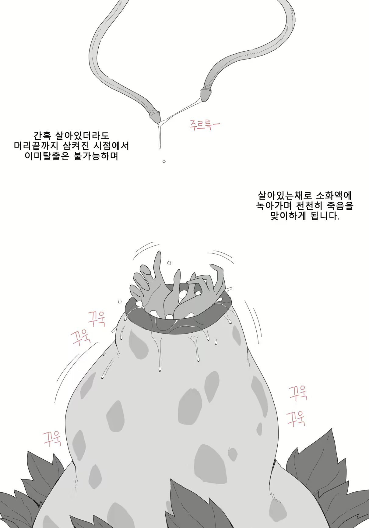 Content 2832777 - 28 페이지
