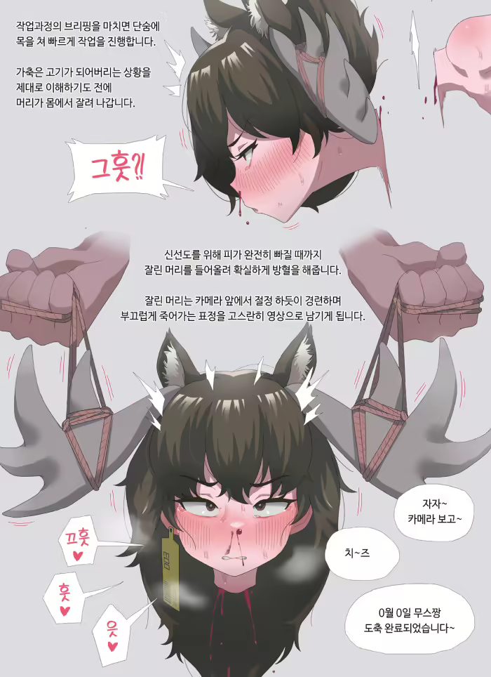 Content 2833095 - 15 페이지