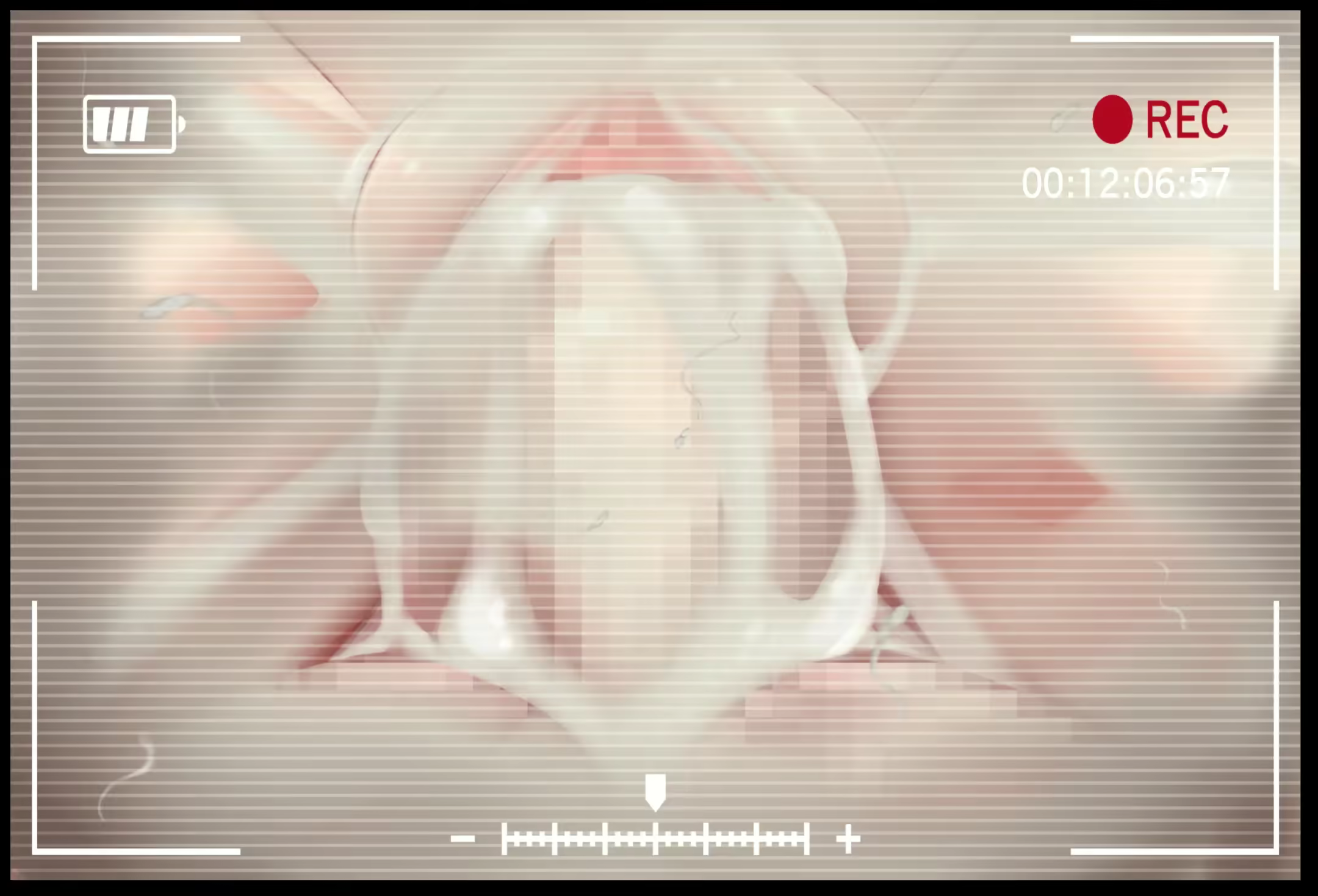 Content 2835115 - 27 페이지