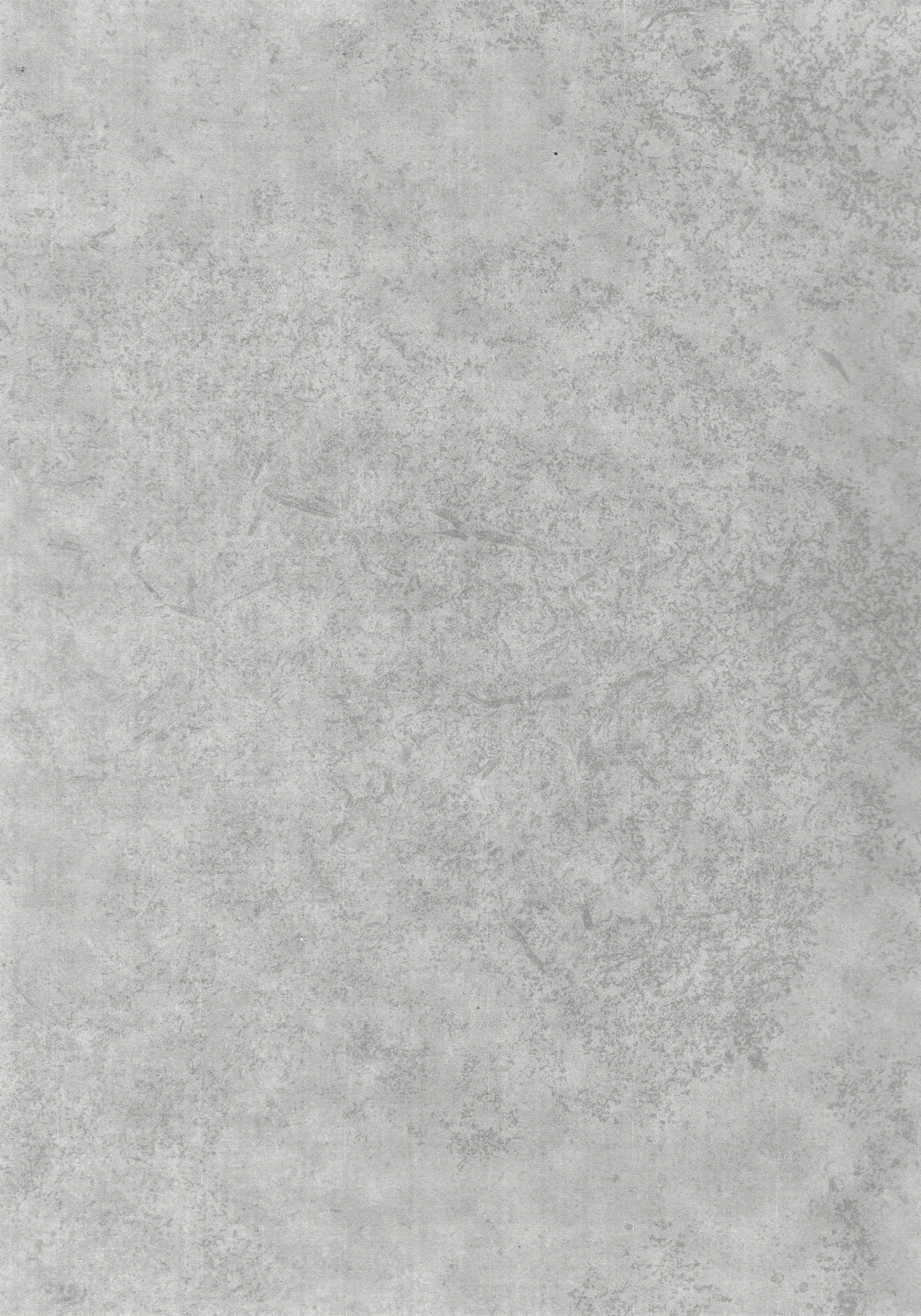 Content 2835986 - 3 페이지