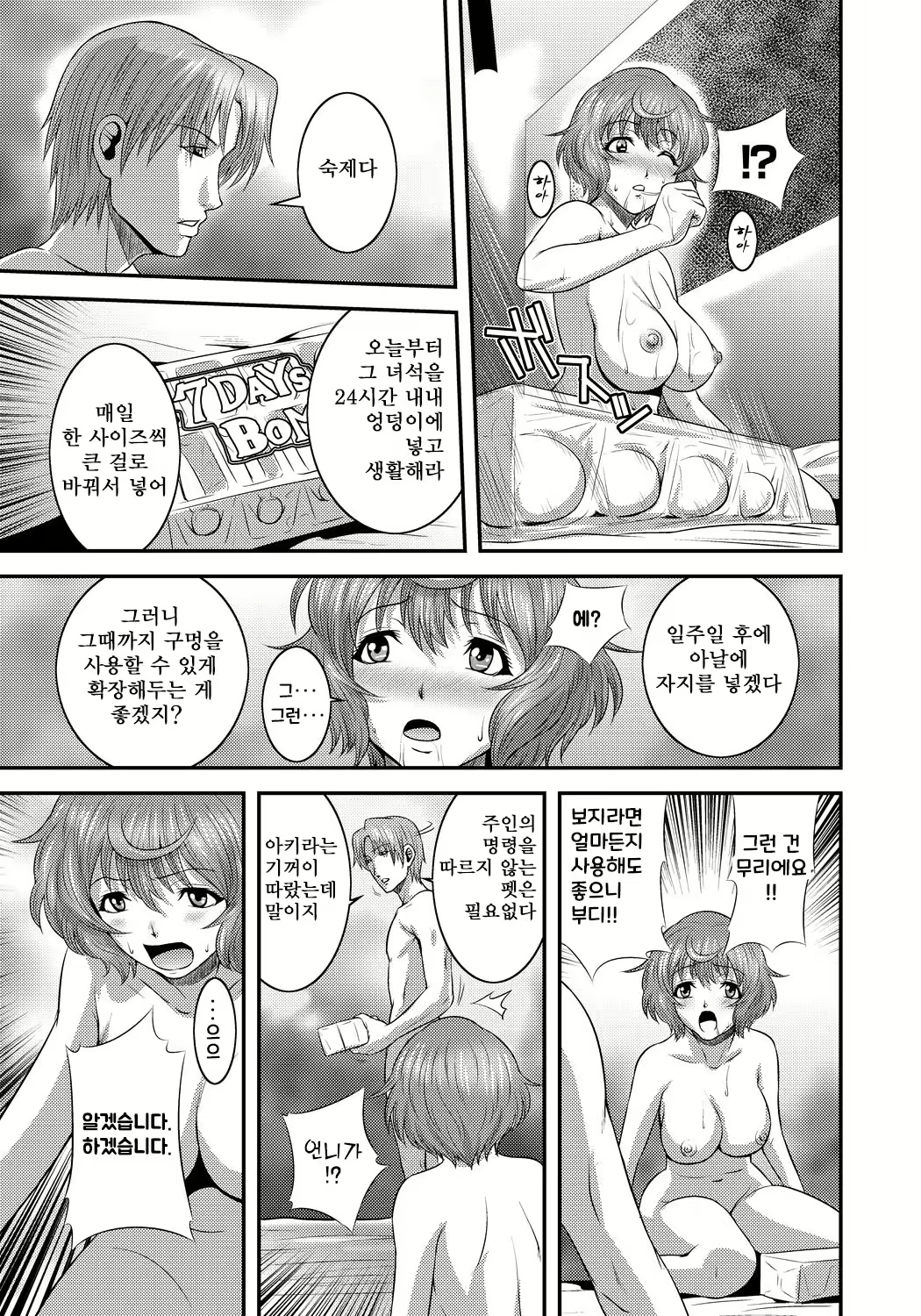 Content 2836849 - 74 페이지