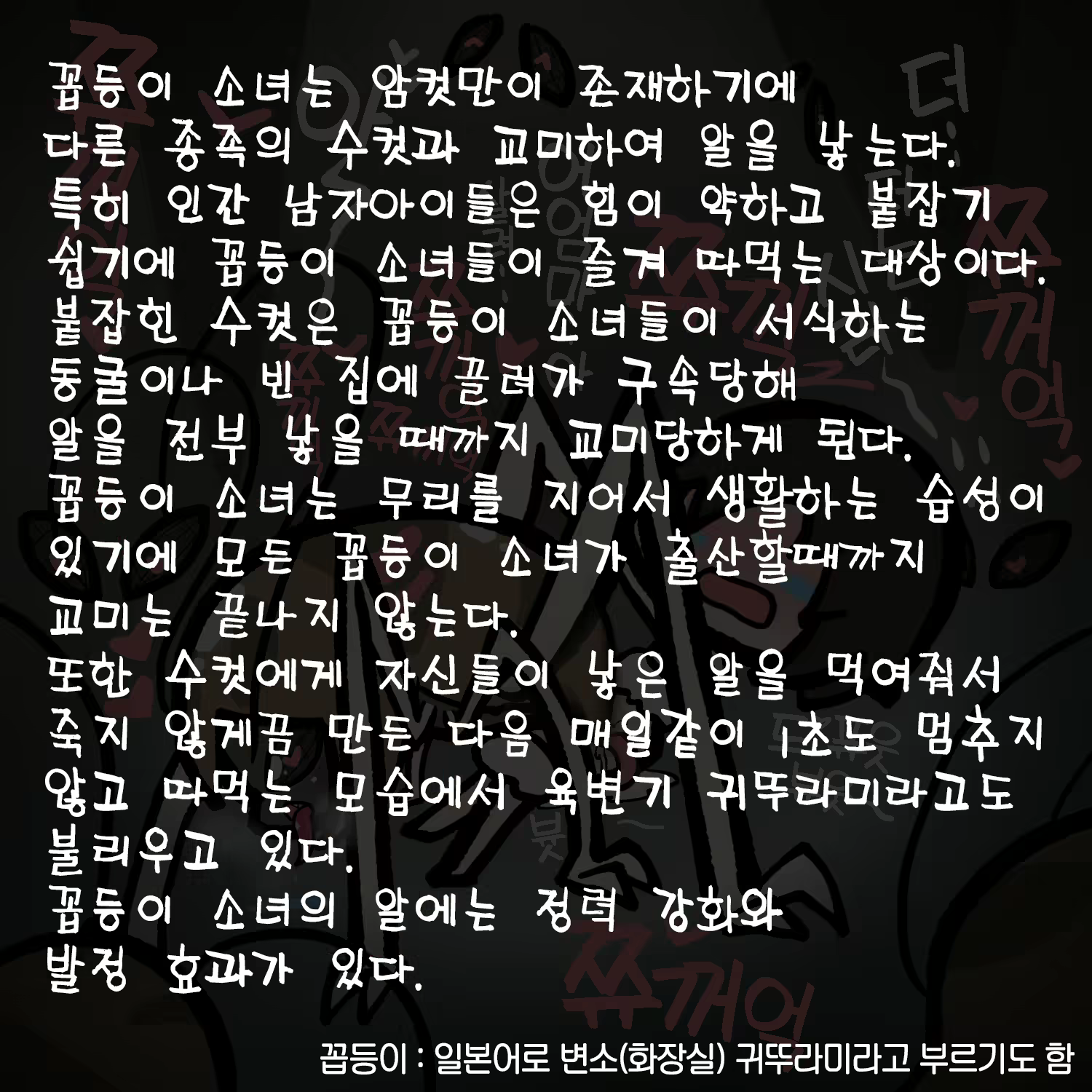 Content 2848583 - 387 페이지