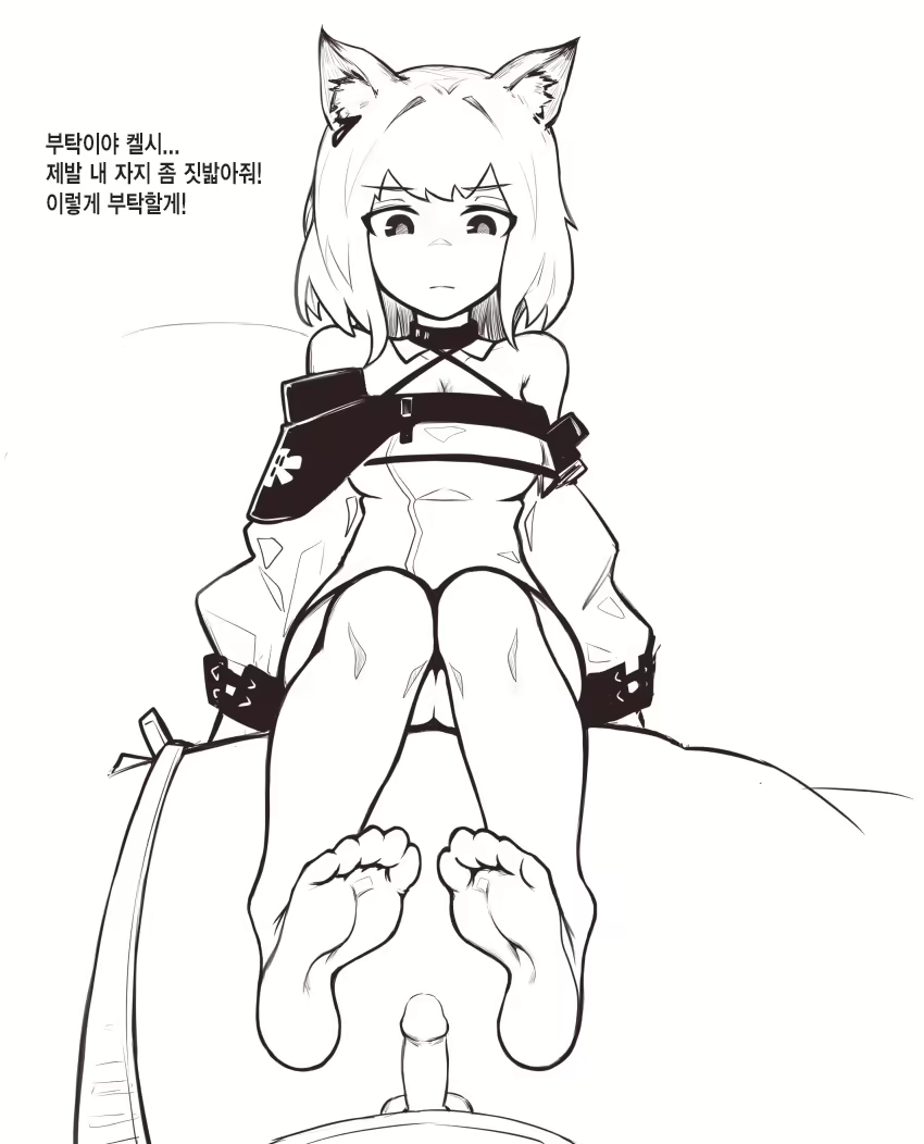 Content 2848583 - 456 페이지