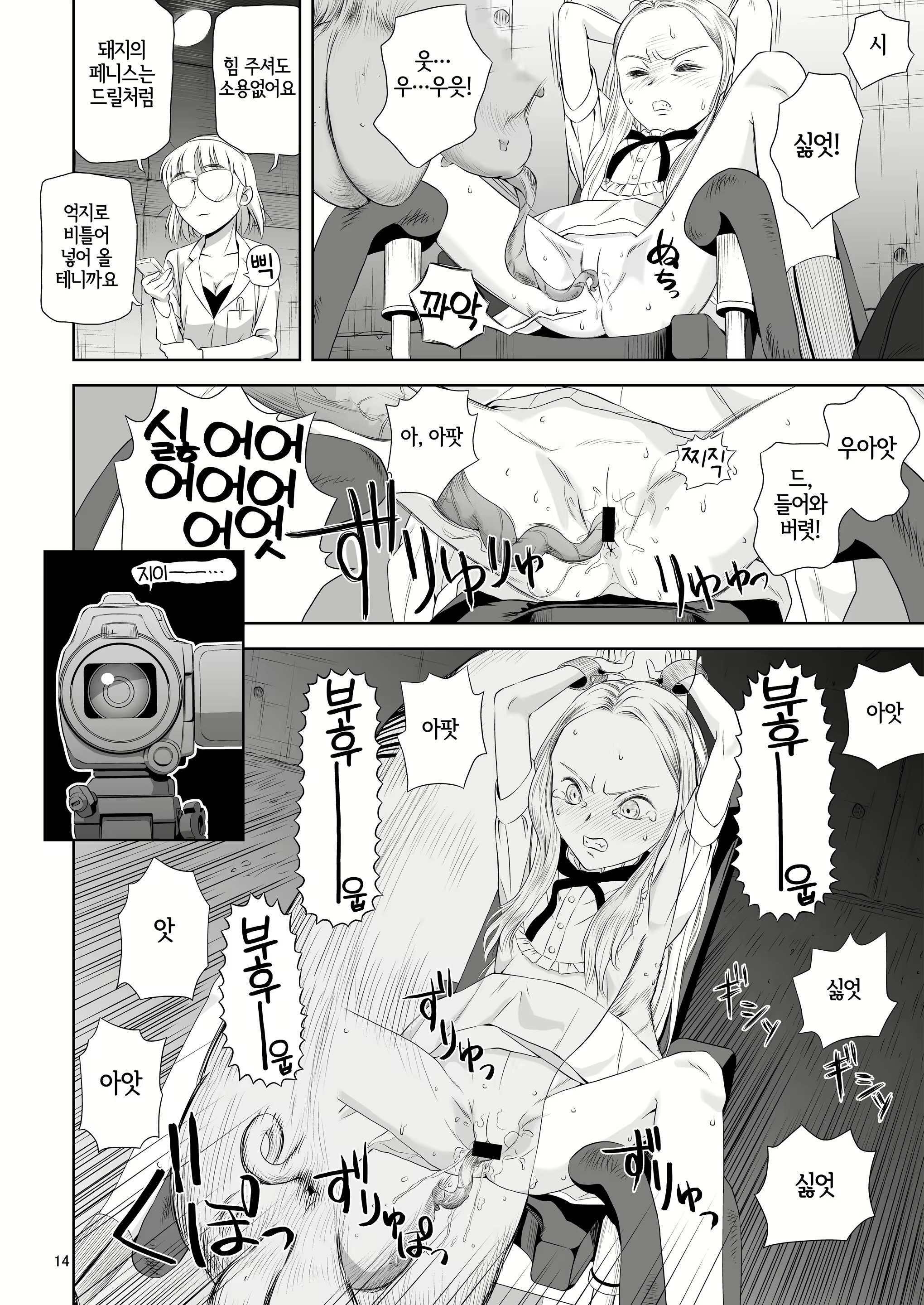 Content 2859003 - 14 페이지
