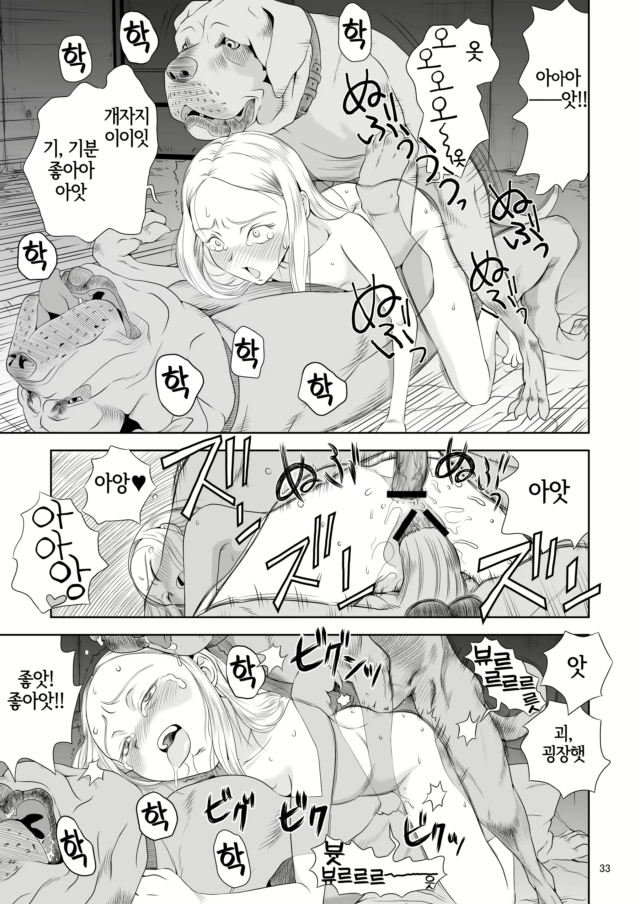 Content 2859003 - 33 페이지