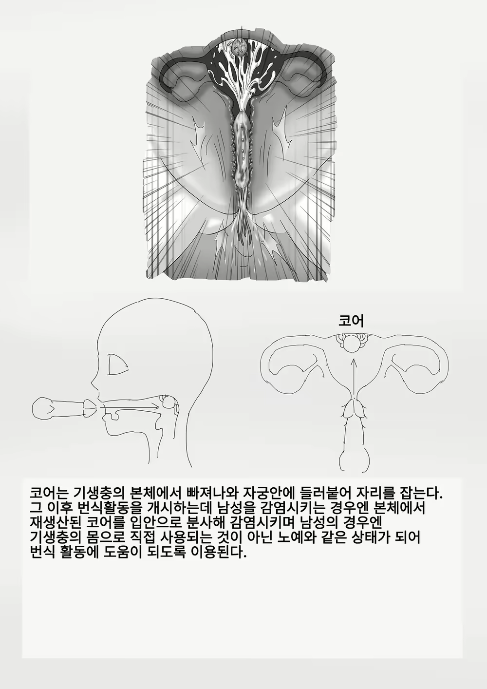 Content 2870153 - 20 페이지